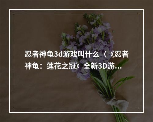 忍者神龟3d游戏叫什么（《忍者神龟：莲花之冠》全新3D游戏评测）