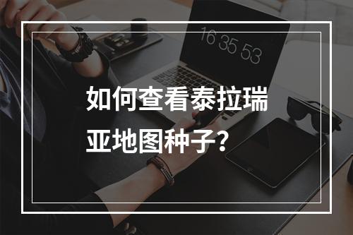 如何查看泰拉瑞亚地图种子？