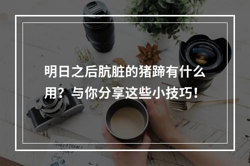 明日之后肮脏的猪蹄有什么用？与你分享这些小技巧！