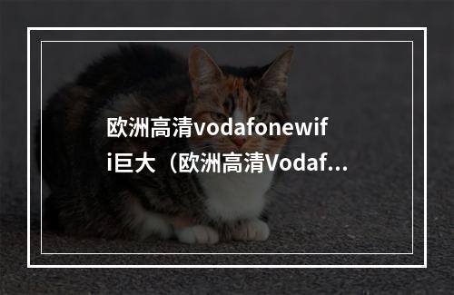 欧洲高清vodafonewifi巨大（欧洲高清VodafoneWiFi：引领未来数字创新的巨头）