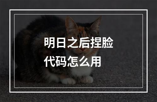 明日之后捏脸代码怎么用