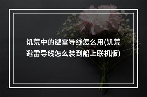 饥荒中的避雷导线怎么用(饥荒避雷导线怎么装到船上联机版)