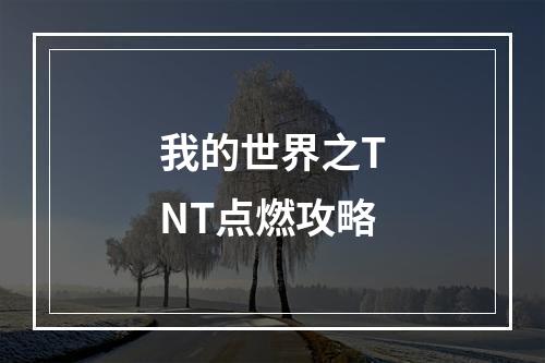 我的世界之TNT点燃攻略