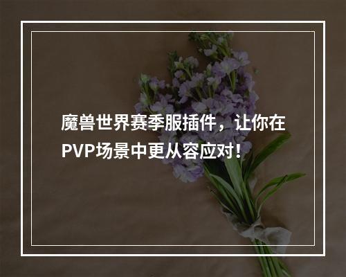 魔兽世界赛季服插件，让你在PVP场景中更从容应对！