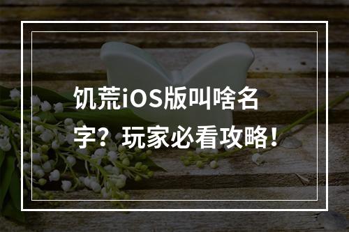 饥荒iOS版叫啥名字？玩家必看攻略！