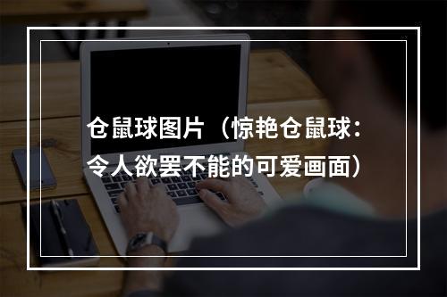 仓鼠球图片（惊艳仓鼠球：令人欲罢不能的可爱画面）