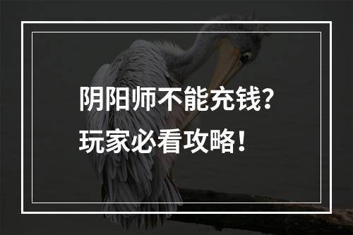 阴阳师不能充钱？玩家必看攻略！