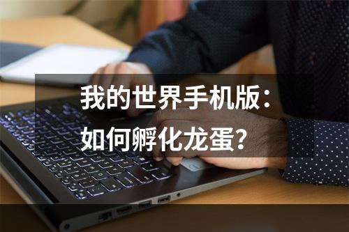 我的世界手机版：如何孵化龙蛋？