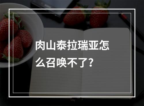 肉山泰拉瑞亚怎么召唤不了？