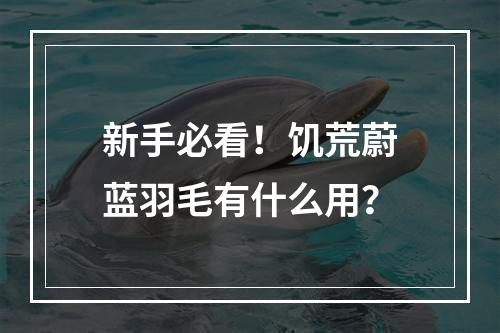 新手必看！饥荒蔚蓝羽毛有什么用？