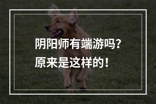 阴阳师有端游吗？原来是这样的！