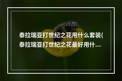 泰拉瑞亚打世纪之花用什么套装(泰拉瑞亚打世纪之花最好用什么装备)