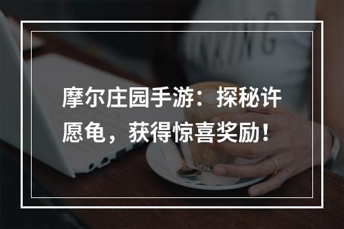 摩尔庄园手游：探秘许愿龟，获得惊喜奖励！