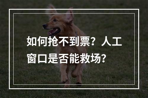 如何抢不到票？人工窗口是否能救场？