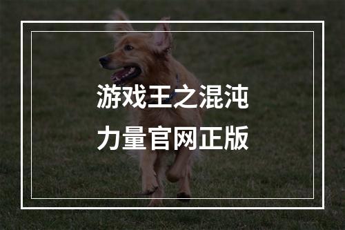 游戏王之混沌力量官网正版