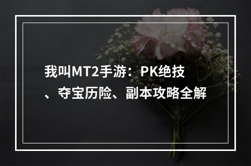 我叫MT2手游：PK绝技、夺宝历险、副本攻略全解