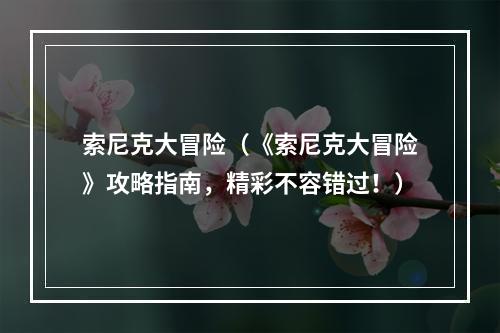 索尼克大冒险（《索尼克大冒险》攻略指南，精彩不容错过！）