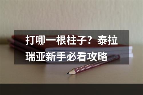 打哪一根柱子？泰拉瑞亚新手必看攻略