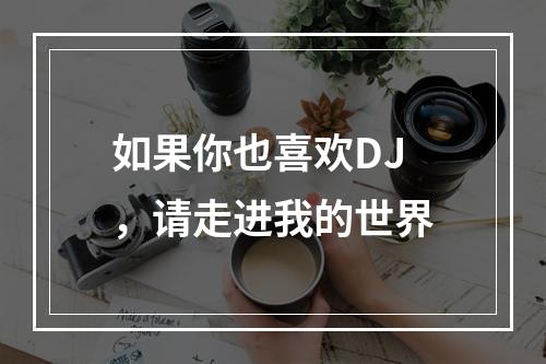 如果你也喜欢DJ，请走进我的世界