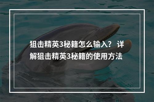 狙击精英3秘籍怎么输入？ 详解狙击精英3秘籍的使用方法