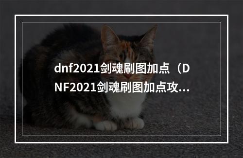 dnf2021剑魂刷图加点（DNF2021剑魂刷图加点攻略——一步步助你成为霸主）