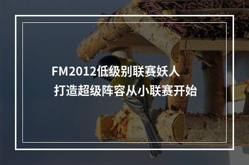 FM2012低级别联赛妖人 打造超级阵容从小联赛开始