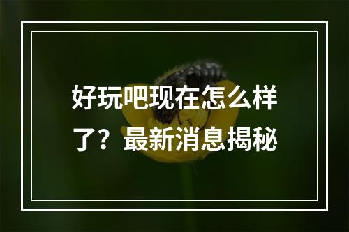 好玩吧现在怎么样了？最新消息揭秘