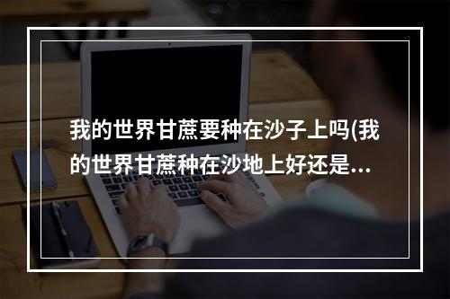 我的世界甘蔗要种在沙子上吗(我的世界甘蔗种在沙地上好还是泥土上好)