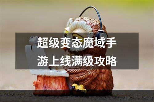 超级变态魔域手游上线满级攻略