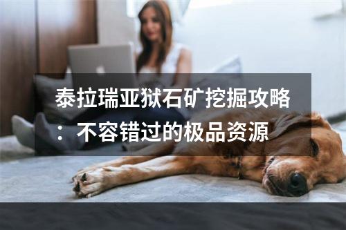 泰拉瑞亚狱石矿挖掘攻略：不容错过的极品资源