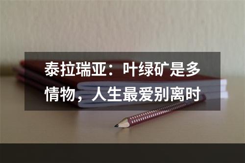 泰拉瑞亚：叶绿矿是多情物，人生最爱别离时