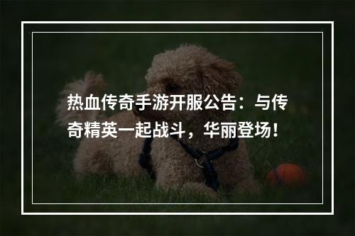 热血传奇手游开服公告：与传奇精英一起战斗，华丽登场！