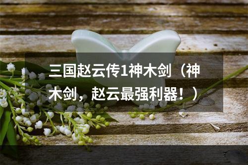 三国赵云传1神木剑（神木剑，赵云最强利器！）