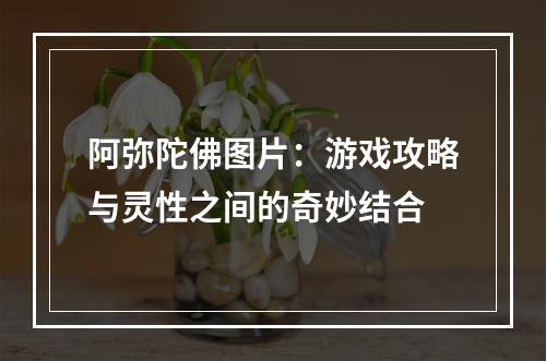 阿弥陀佛图片：游戏攻略与灵性之间的奇妙结合