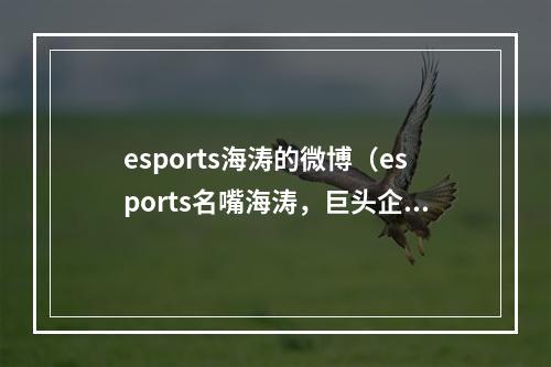 esports海涛的微博（esports名嘴海涛，巨头企业离职，未来何去何从）