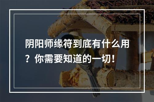 阴阳师缘符到底有什么用？你需要知道的一切！