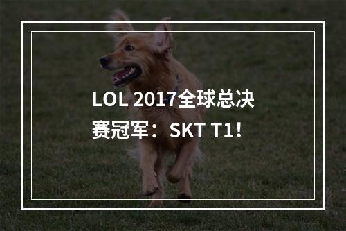 LOL 2017全球总决赛冠军：SKT T1！