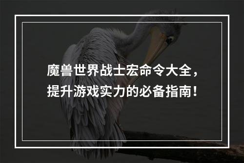 魔兽世界战士宏命令大全，提升游戏实力的必备指南！