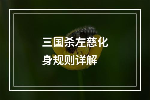 三国杀左慈化身规则详解