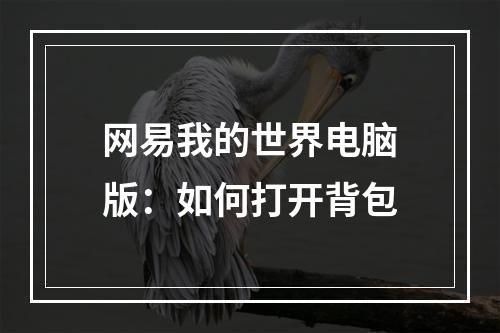 网易我的世界电脑版：如何打开背包