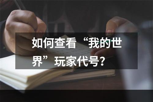 如何查看“我的世界”玩家代号？