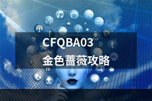 CFQBA03金色蔷薇攻略