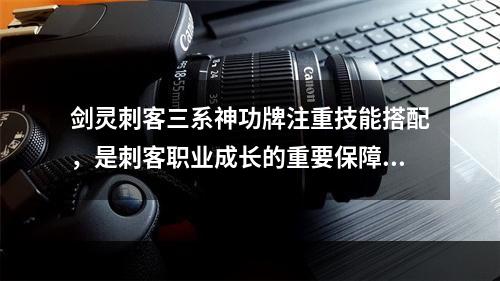 剑灵刺客三系神功牌注重技能搭配，是刺客职业成长的重要保障，通过学习刺客三系神功牌，可以快速提高其战斗