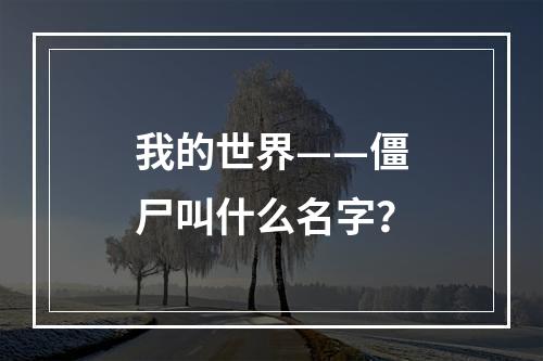 我的世界——僵尸叫什么名字？