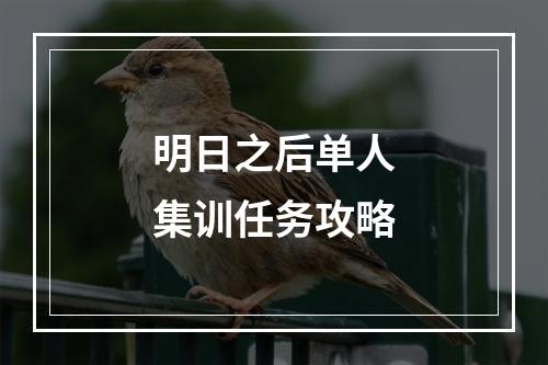 明日之后单人集训任务攻略