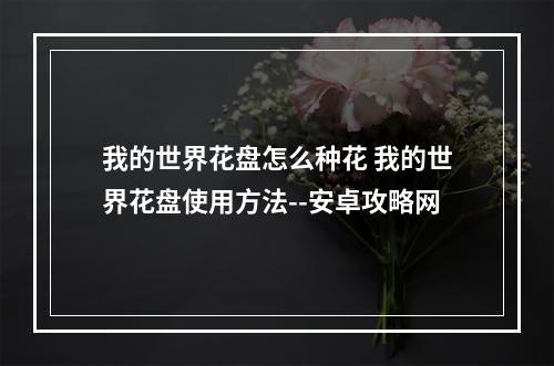 我的世界花盘怎么种花 我的世界花盘使用方法--安卓攻略网