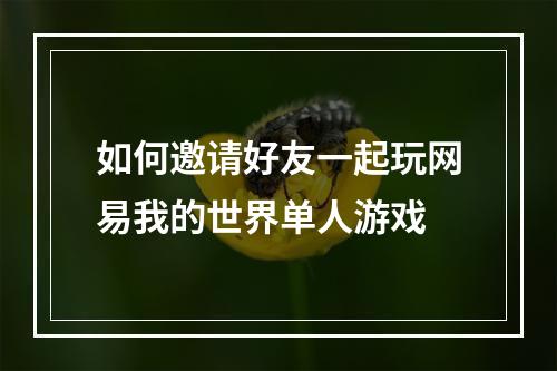 如何邀请好友一起玩网易我的世界单人游戏