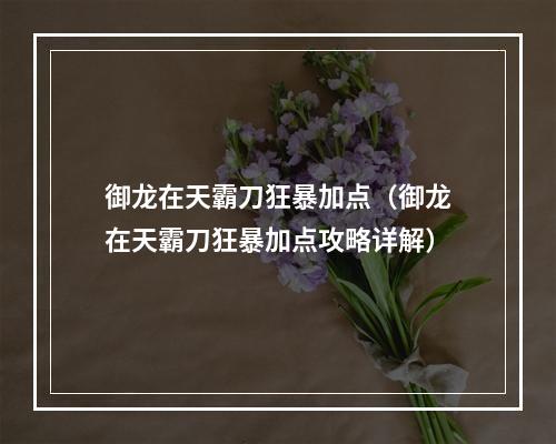 御龙在天霸刀狂暴加点（御龙在天霸刀狂暴加点攻略详解）