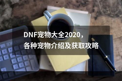 DNF宠物大全2020，各种宠物介绍及获取攻略