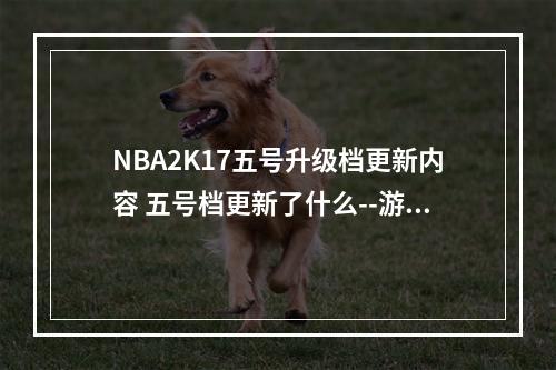 NBA2K17五号升级档更新内容 五号档更新了什么--游戏攻略网